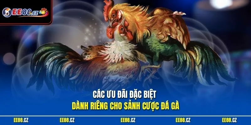 Các ưu đãi đặc biệt dành riêng cho sảnh cược đá gà
