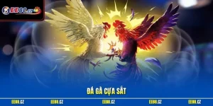 Đá gà cựa sắt