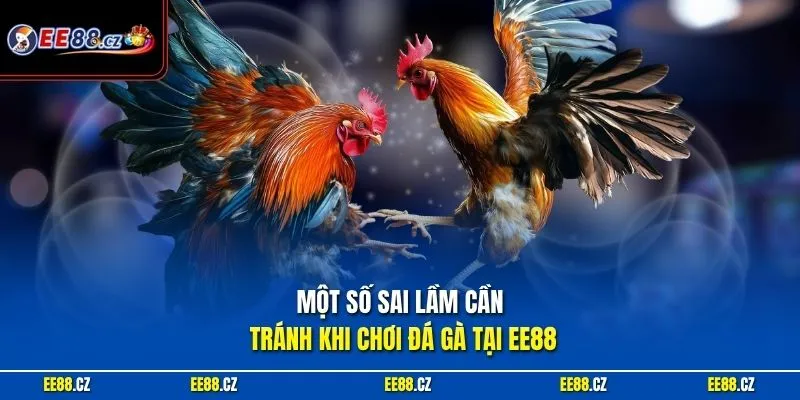 Một số sai lầm cần tránh khi chơi đá gà tại EE88